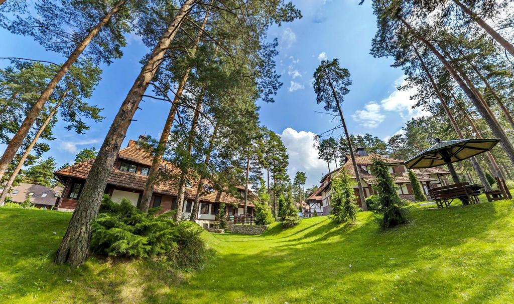 Apartmán Kraljevi Konaci - Najam Kuca Na Zlatiboru Exteriér fotografie